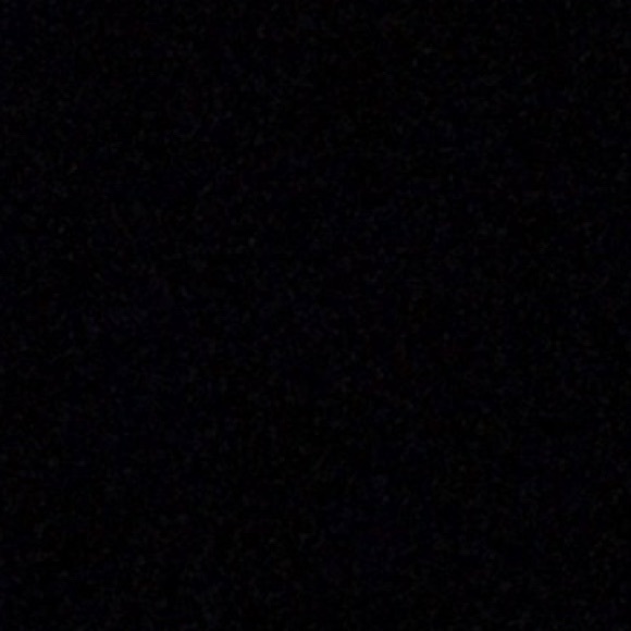 Meet your Posher, Maya - Picture 1 of 1